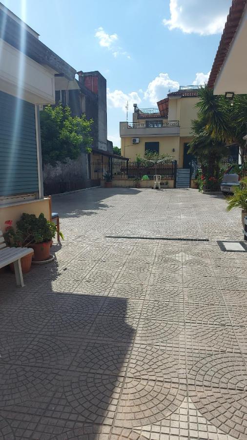 Vitiello Maria's