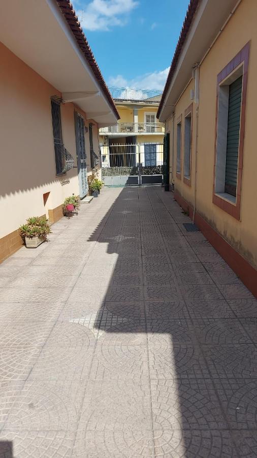 Vitiello Maria's